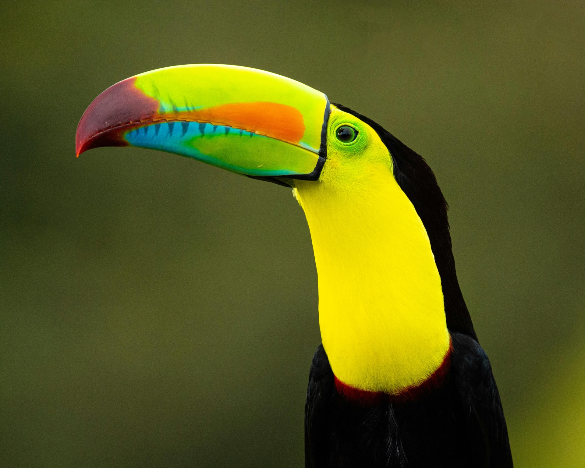 Costa Rica 1