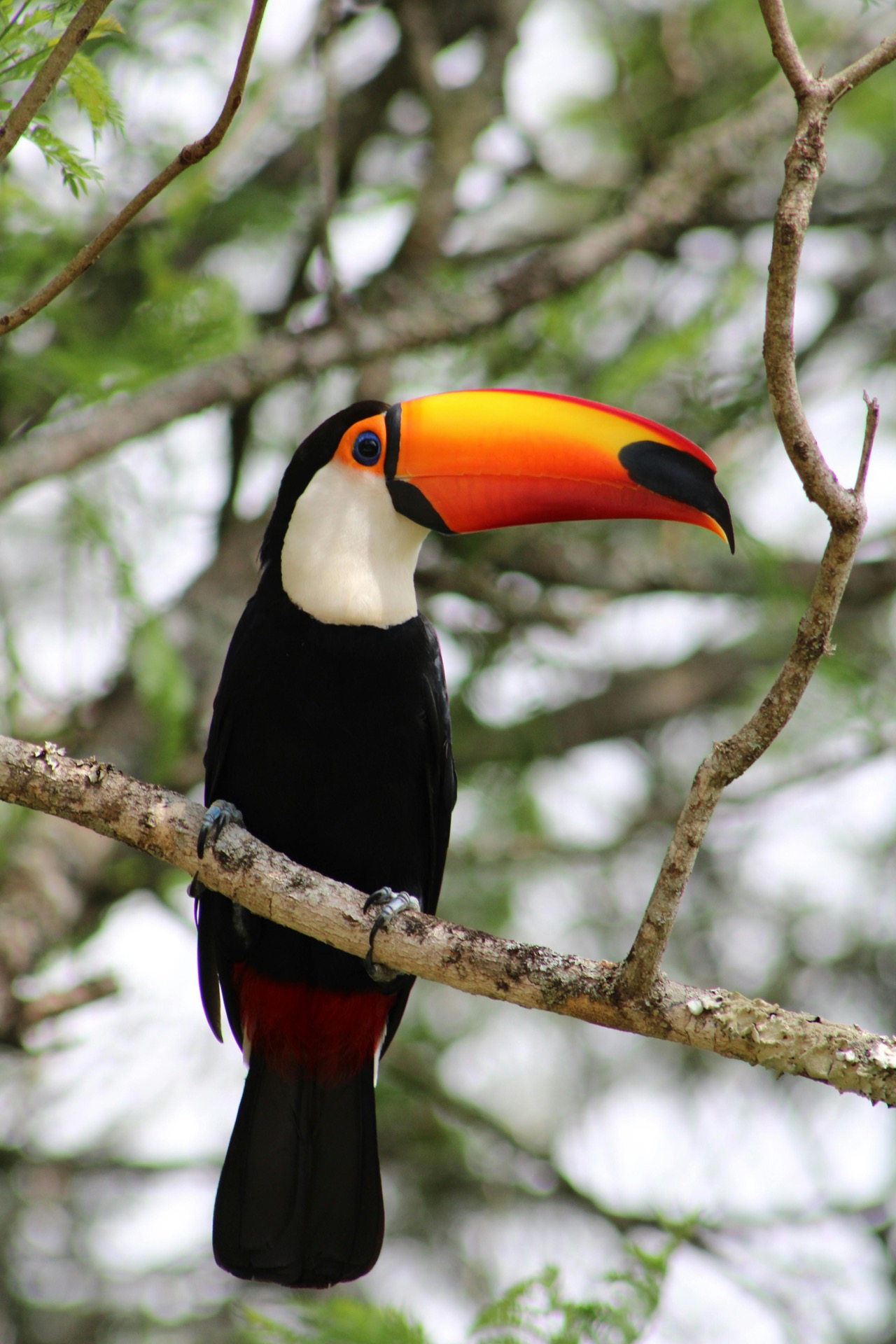 Costa Rica