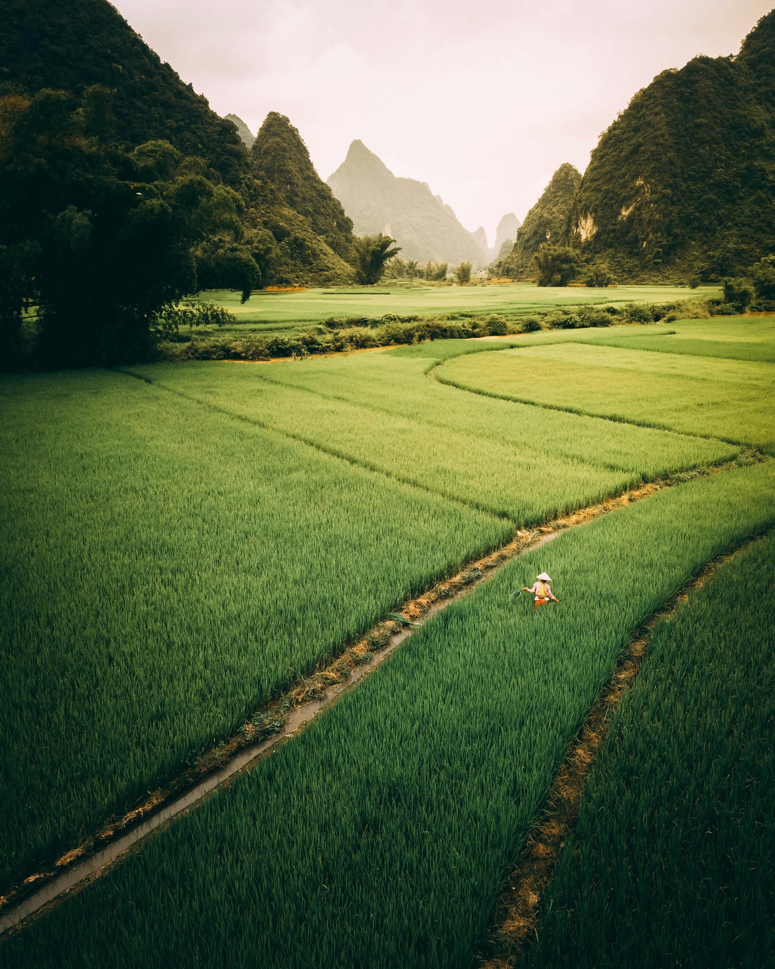 Vietnam