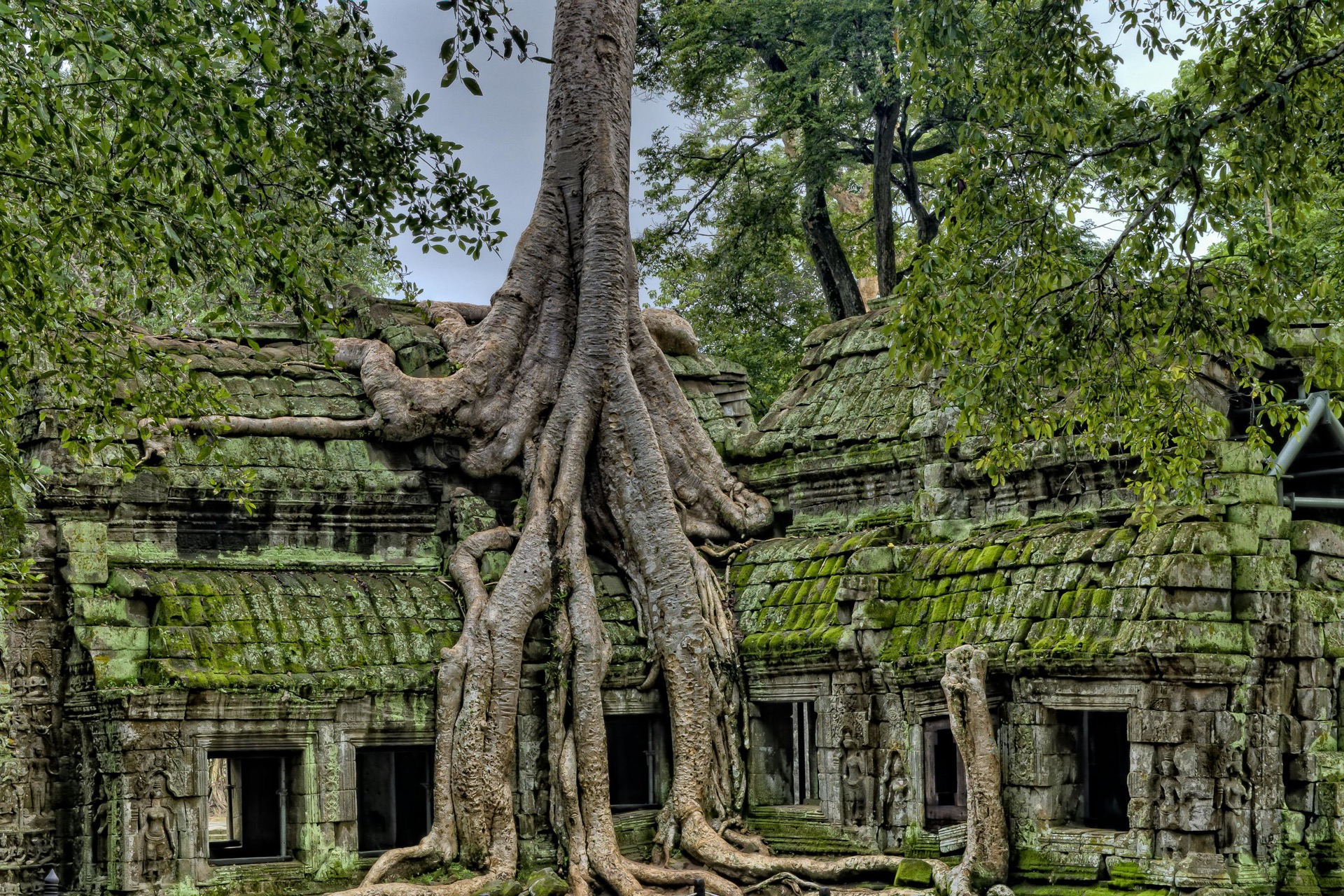 Cambodia 6