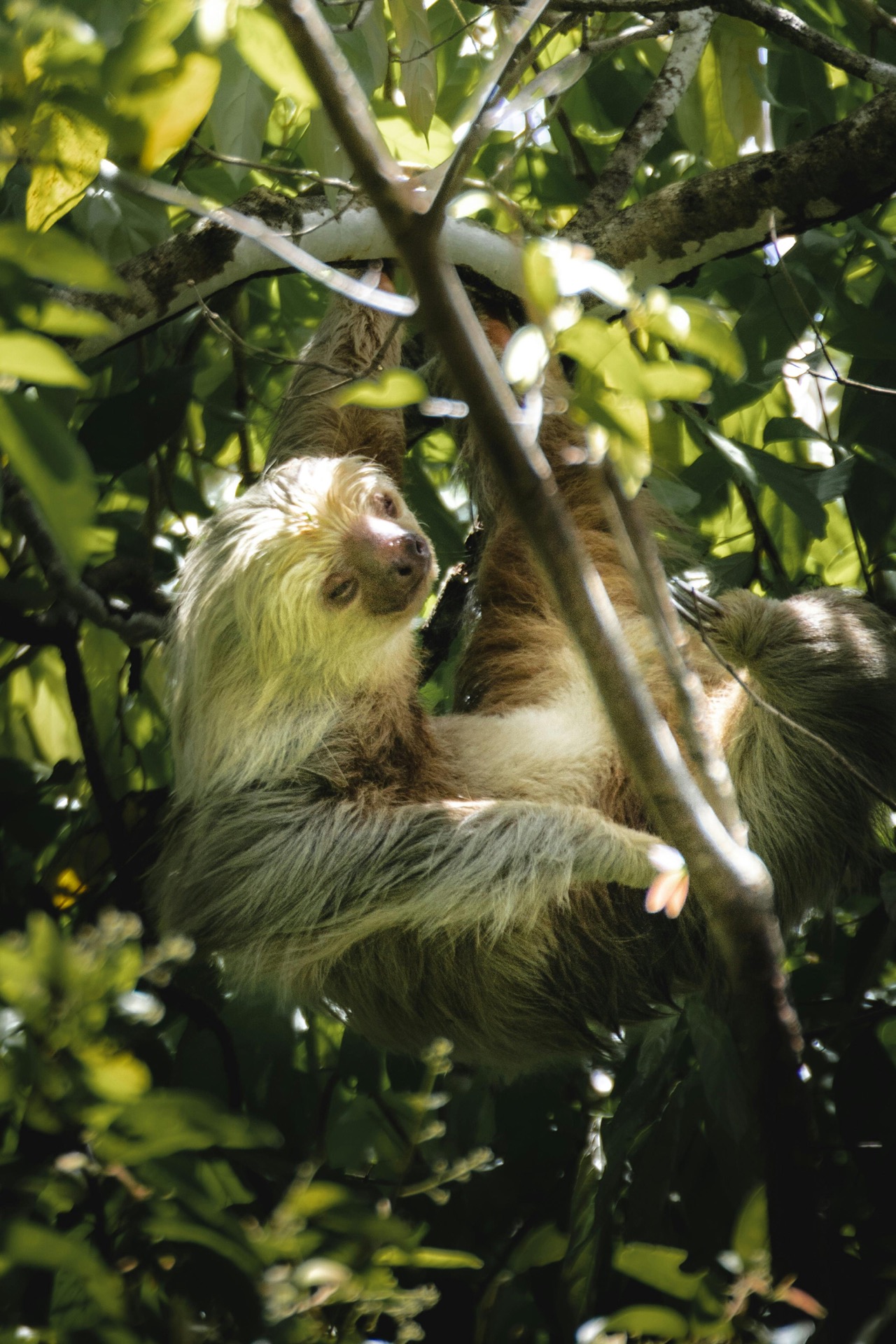 Costa Rica 6